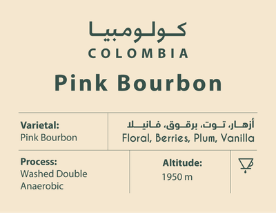 كولومبيا- بينك بوربون