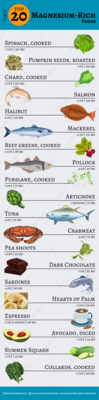 Top 20 Magnesium-Rich Foods Infographic