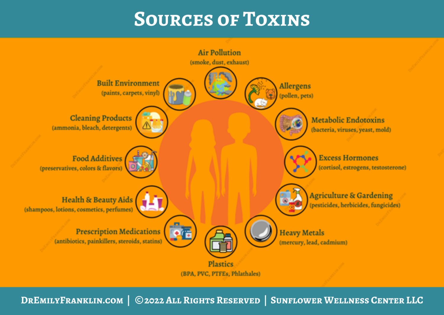 Sources of Toxins Infographic