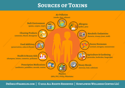 Sources of Toxins Infographic
