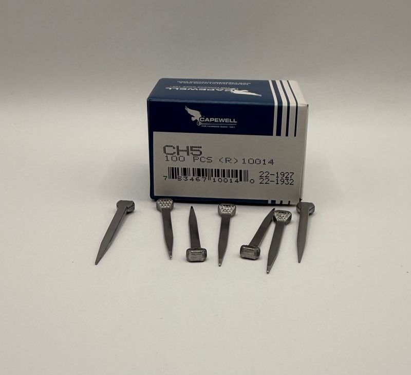 CAPEWELL NAILS CH5 100ct