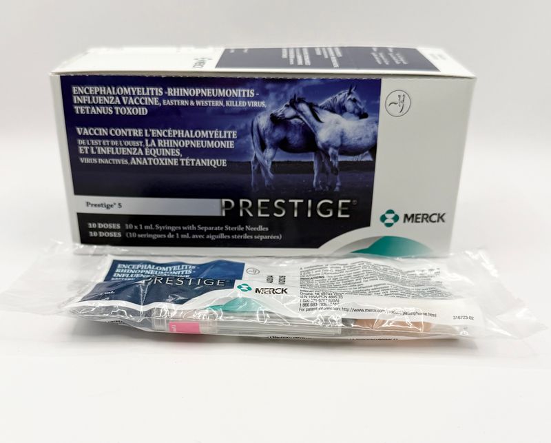 PRESTIGE 5 1ds