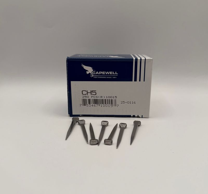 CAPEWELL NAILS CH5 250ct