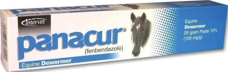 PANACUR PASTE WORMER 25gr