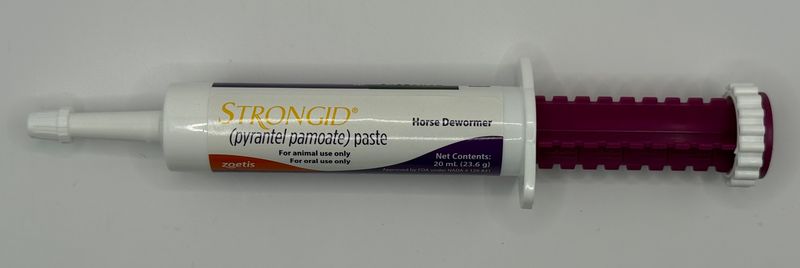 STRONGID PASTE 23.6g