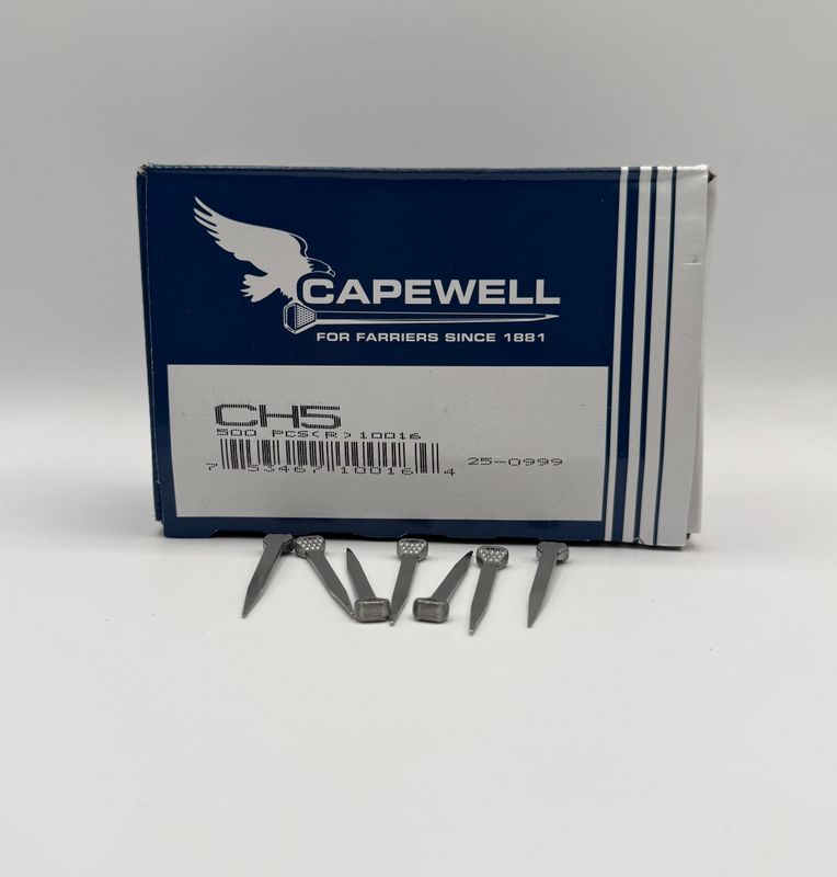 CAPEWELL NAILS CH5 500ct