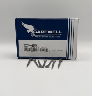 CAPEWELL NAILS CH5 500ct