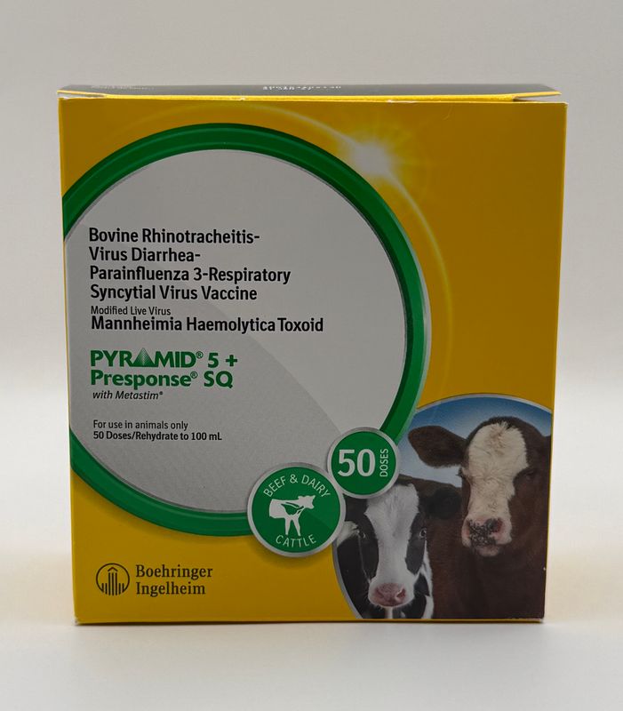 PYRAMID 5 PRESPONCE SQ 50ds