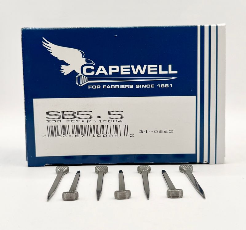 CAPEWELL NAILS SB 5.5  250ct