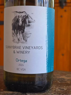 Ortega 2024 BC VQA