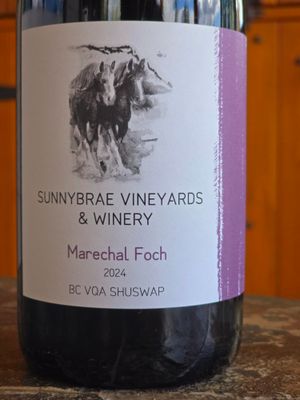 Marechal Foch 2024 BC VQA Shuswap