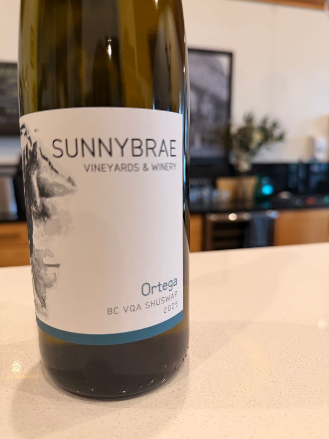 Ortega 2025 BC VQA