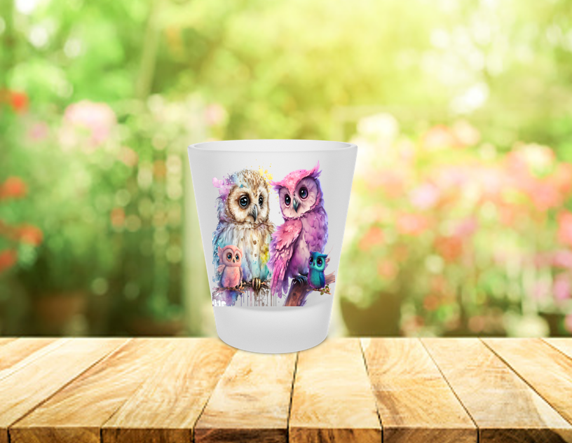 COLLECTION SHOOTER 1,5oz   (ensemble de 4 ou de 6 shooters)