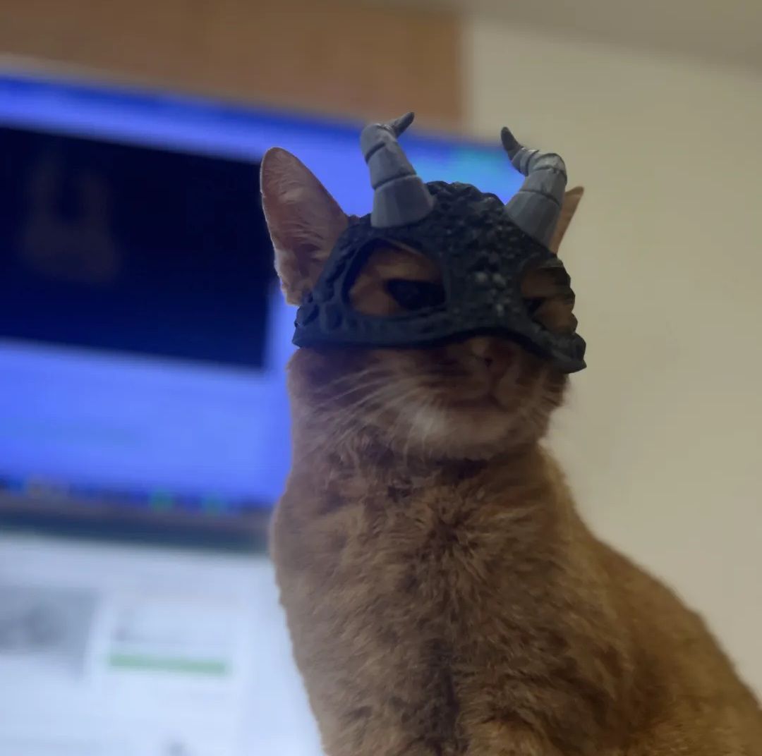 CASQUE HUMORISTIQUE POUR CHAT