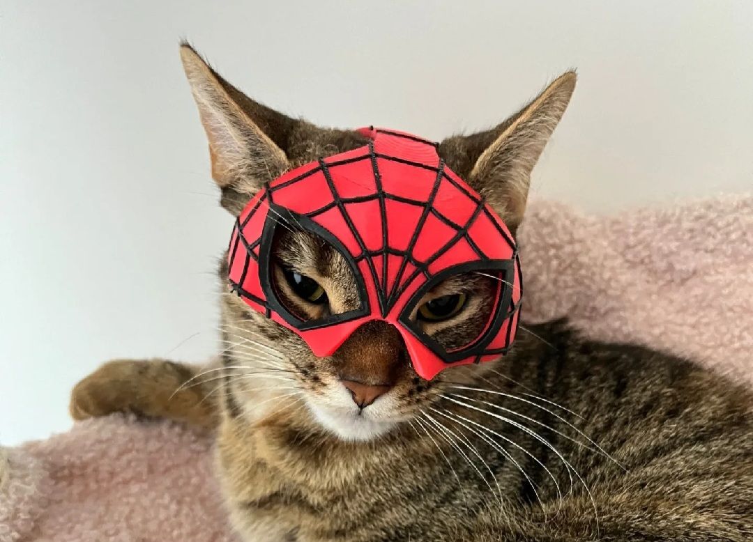 CASQUE HUMORISTIQUE POUR CHAT