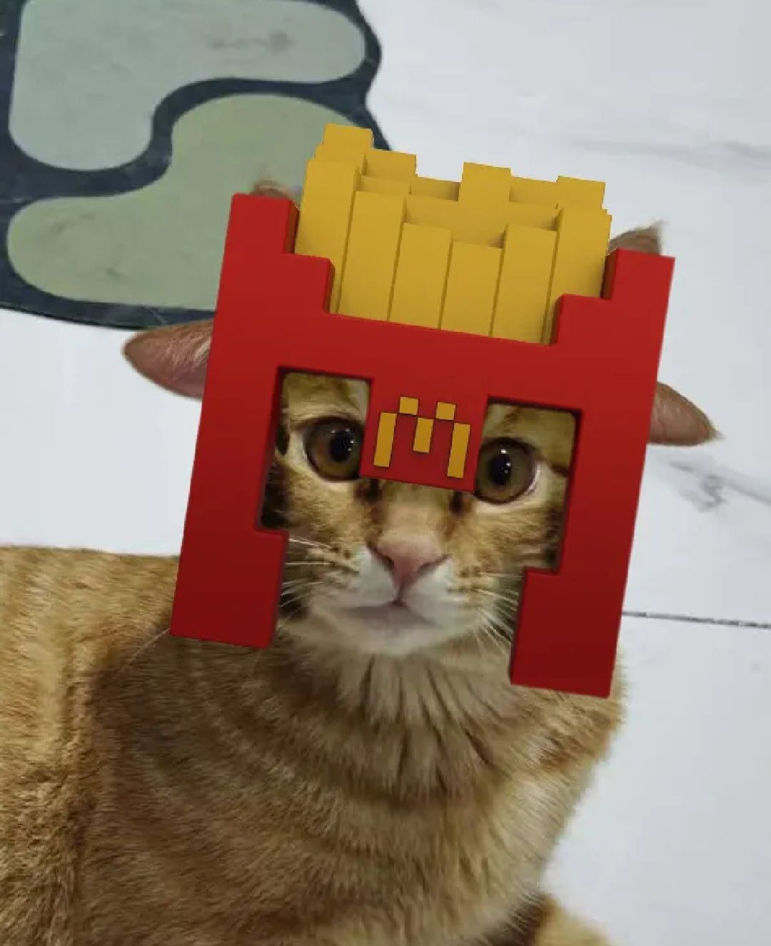 CASQUE HUMORISTIQUE POUR CHAT