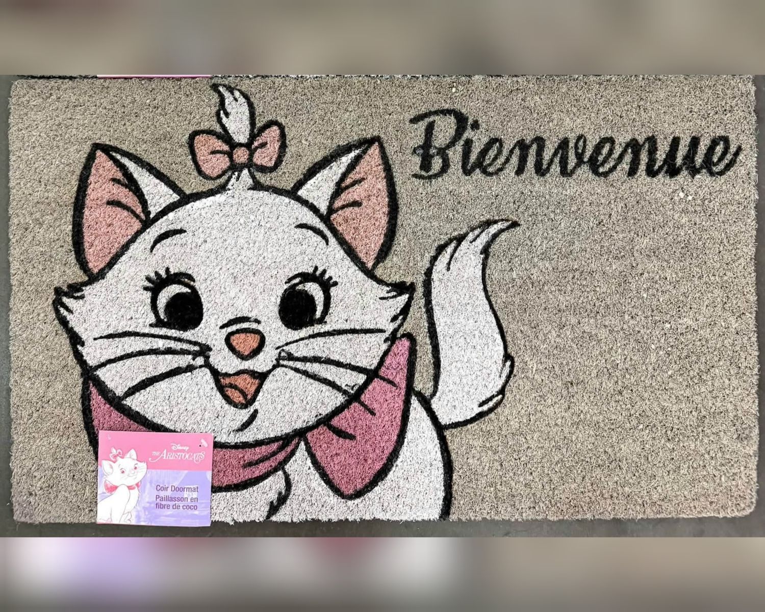 Tapis d'entrée intérieur/extérieur 18x30po