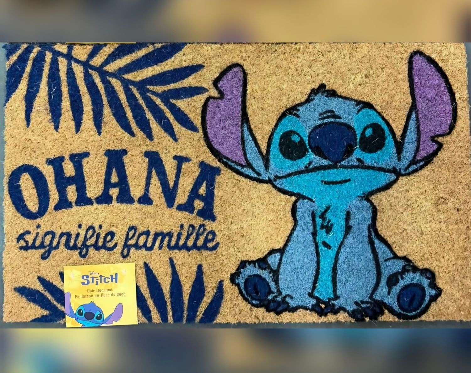 Tapis d'entrée  intérieur/extérieur 18x30po