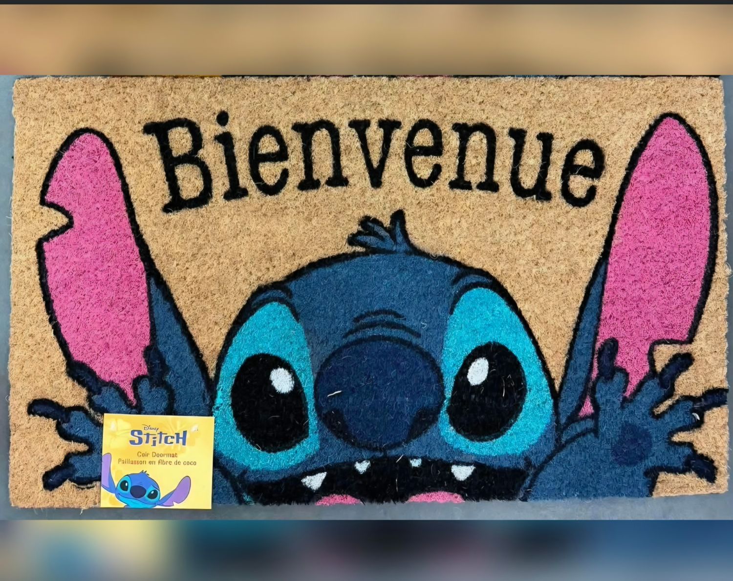 Tapis d'entrée  intérieur/extérieur 18x30po