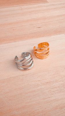 Anillo Raíz