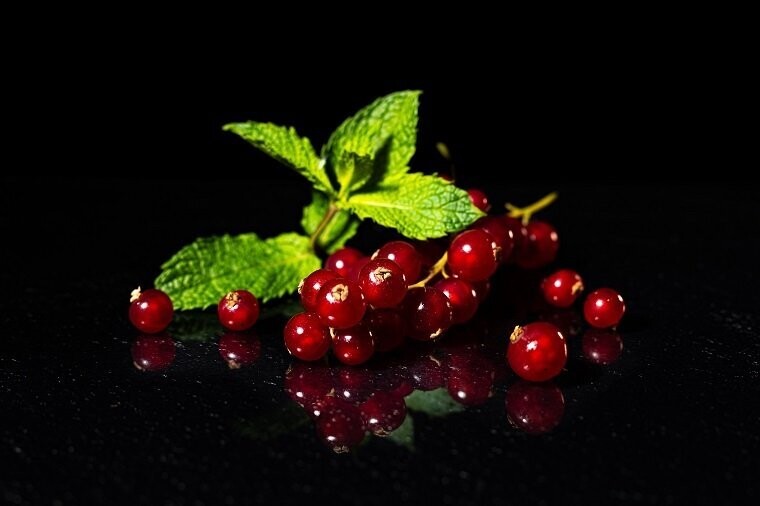 Joahnnesbeeren mit Minze