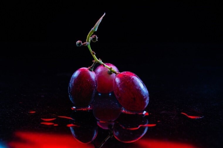 Wein in Rot