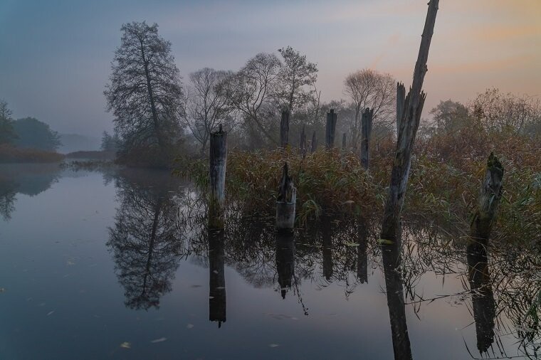 Morgens an der Warnow