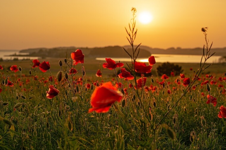Sonnenuntergang Lotsenberg