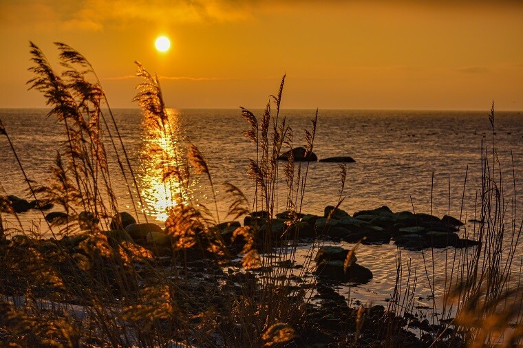 Abendlicht