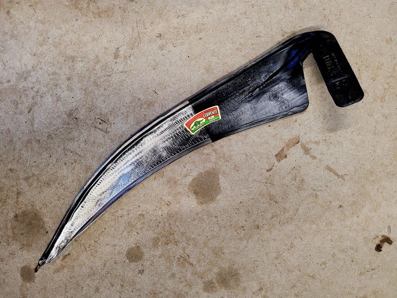 ruigteblad Falci 187 - 50cm