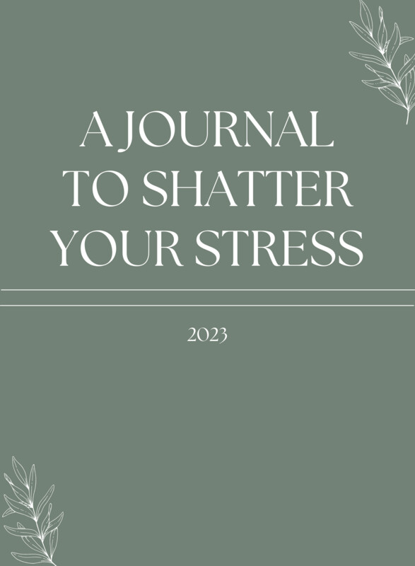 ShatterStress 2023 Journal & Planner
