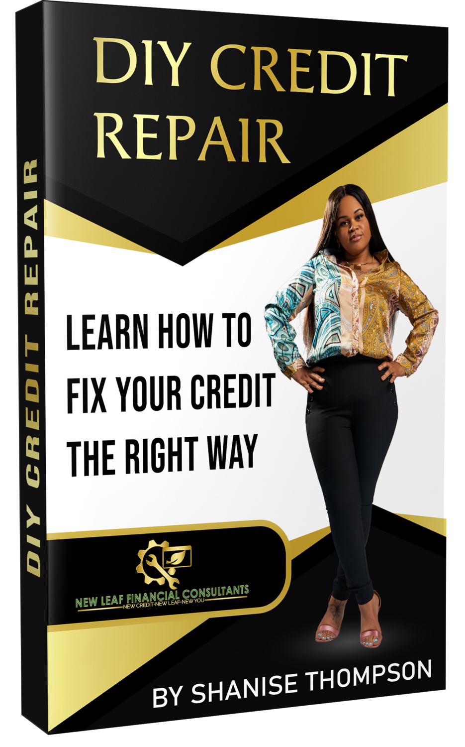 DIY Credit Repair