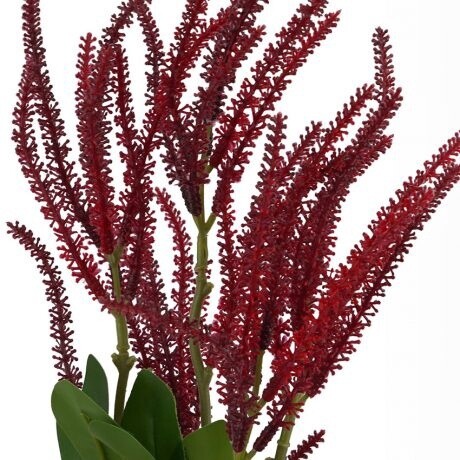 Astilbe Spray Red 62cmL
