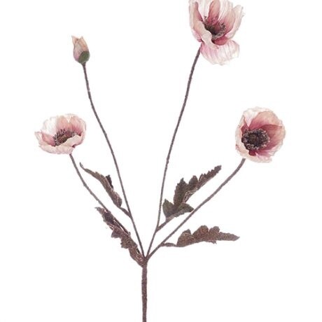 Autumn Poppy Bush Pink 60cmL