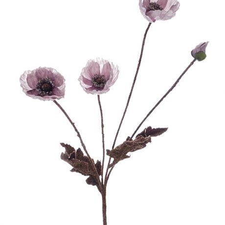 Autumn Poppy Bush Purple 60cmL