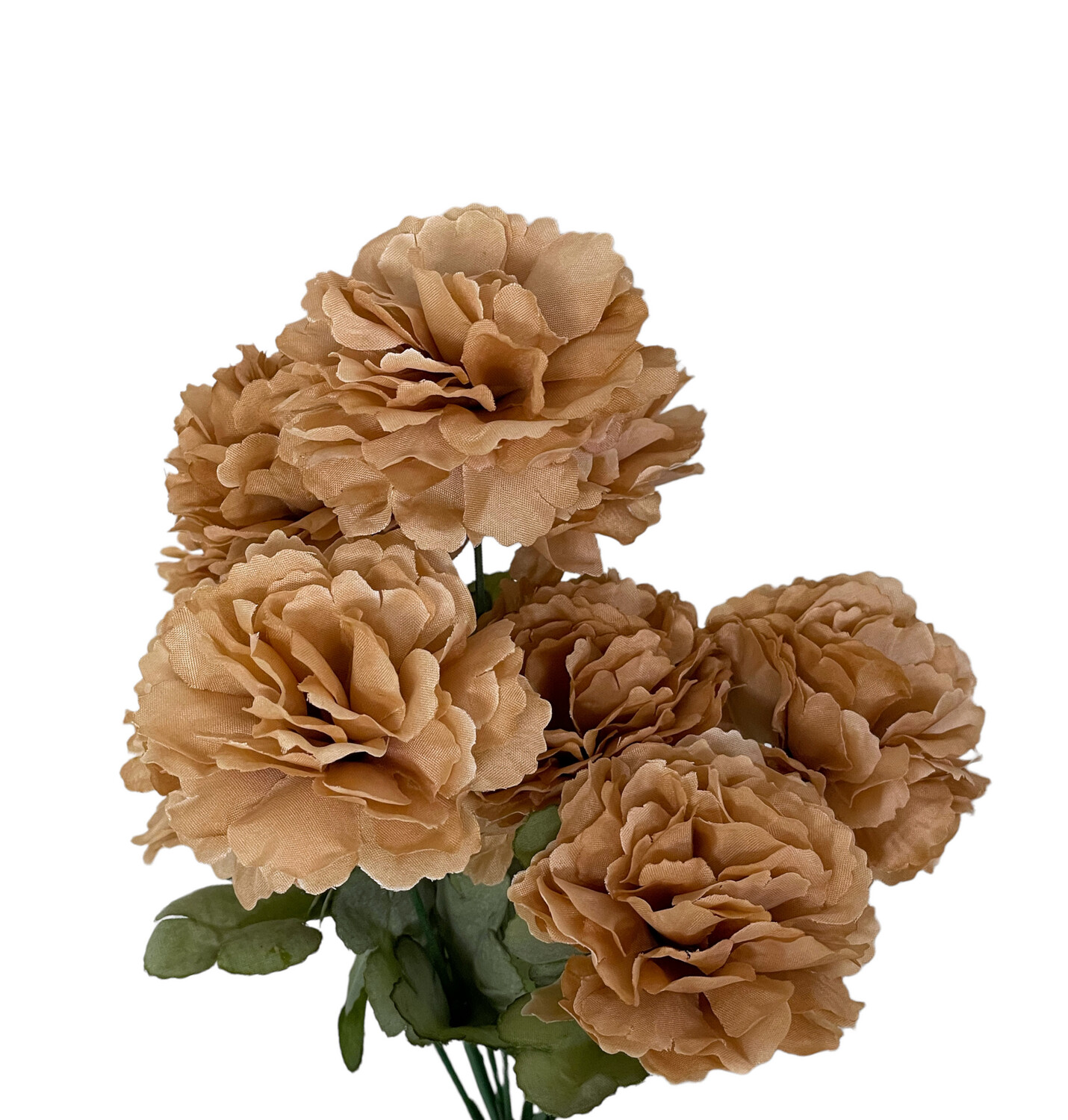 Carnation Bunch Latte 9H 36cmL