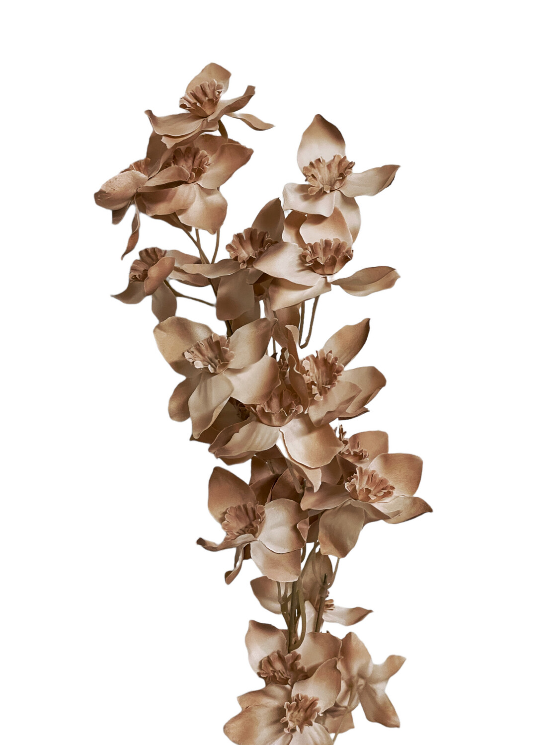 Daffodils Latte Spray 83cmL