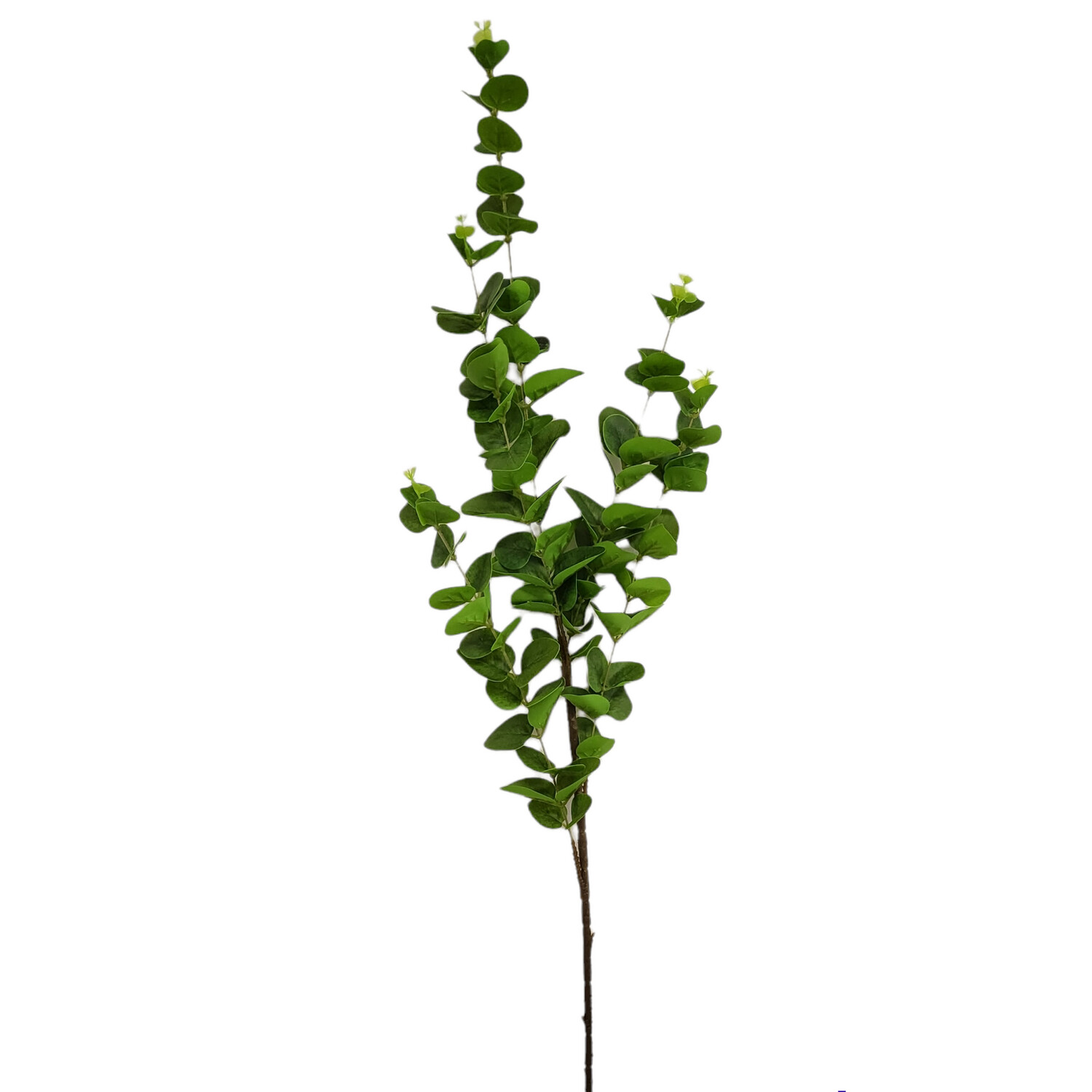 Eucalyptus Green Long Stem 96cmL