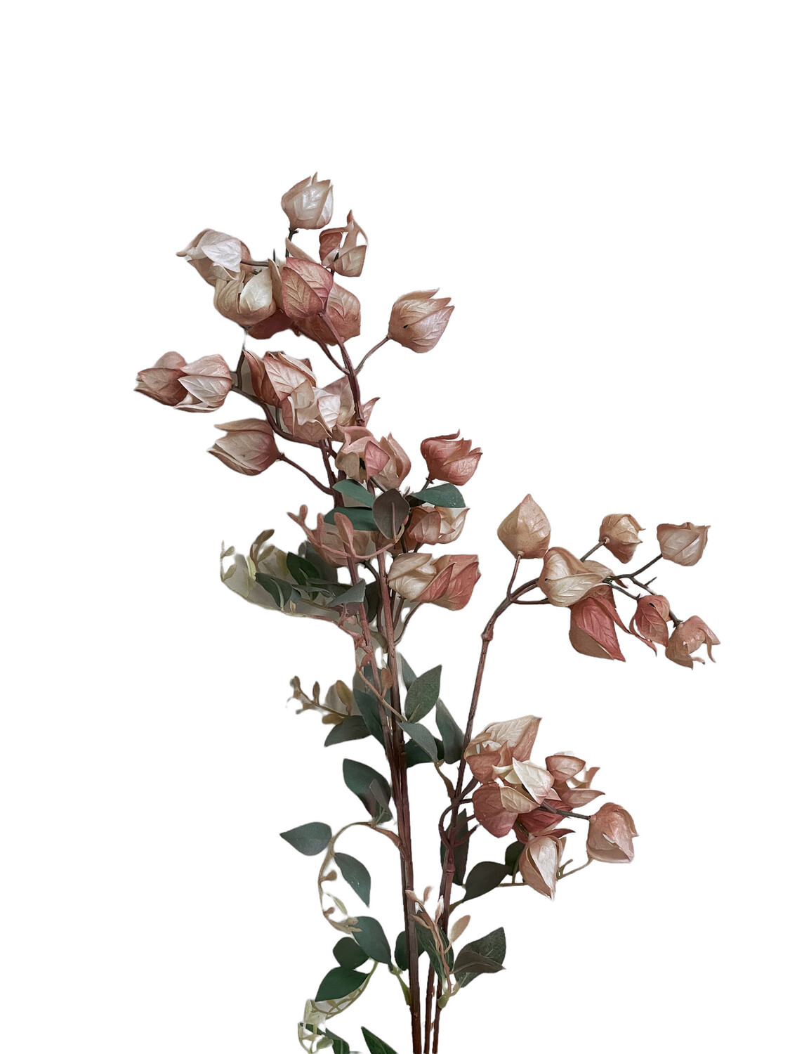Dried Lantern Spray Pink 90cmL