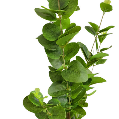 Eucalyptus Green Long Stem 96cmL