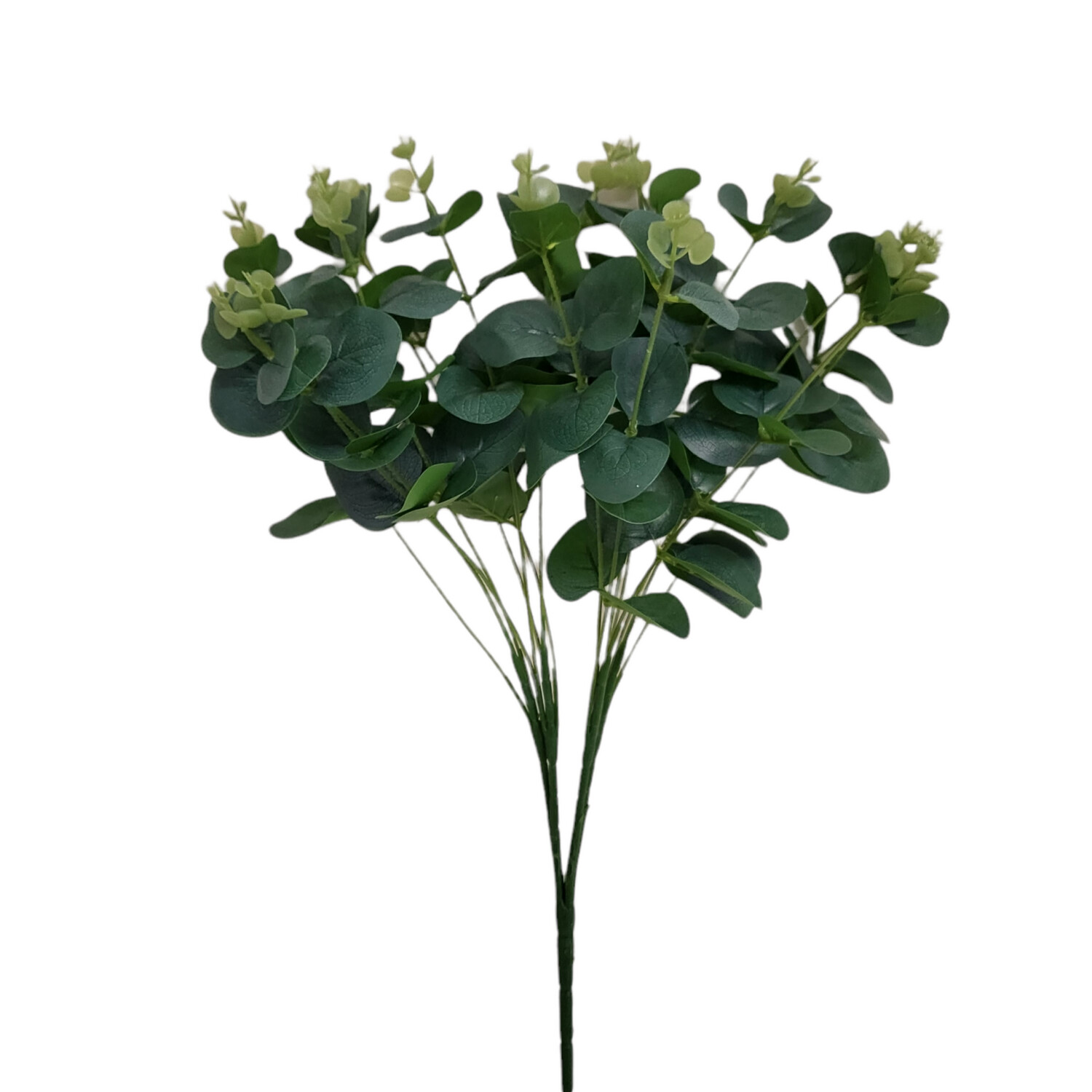 Eucalyptus Bunch 16 Stems 45cmL