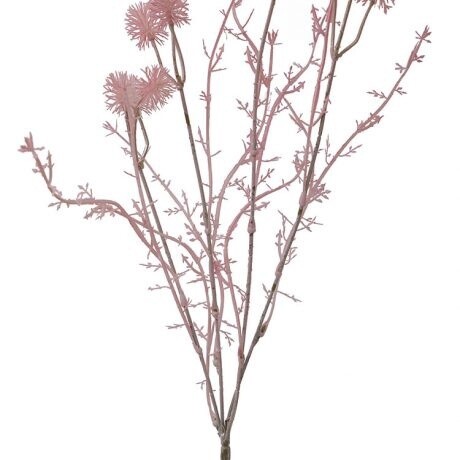 Dried Spray Billy Buttoms Pink 12H 62cmL