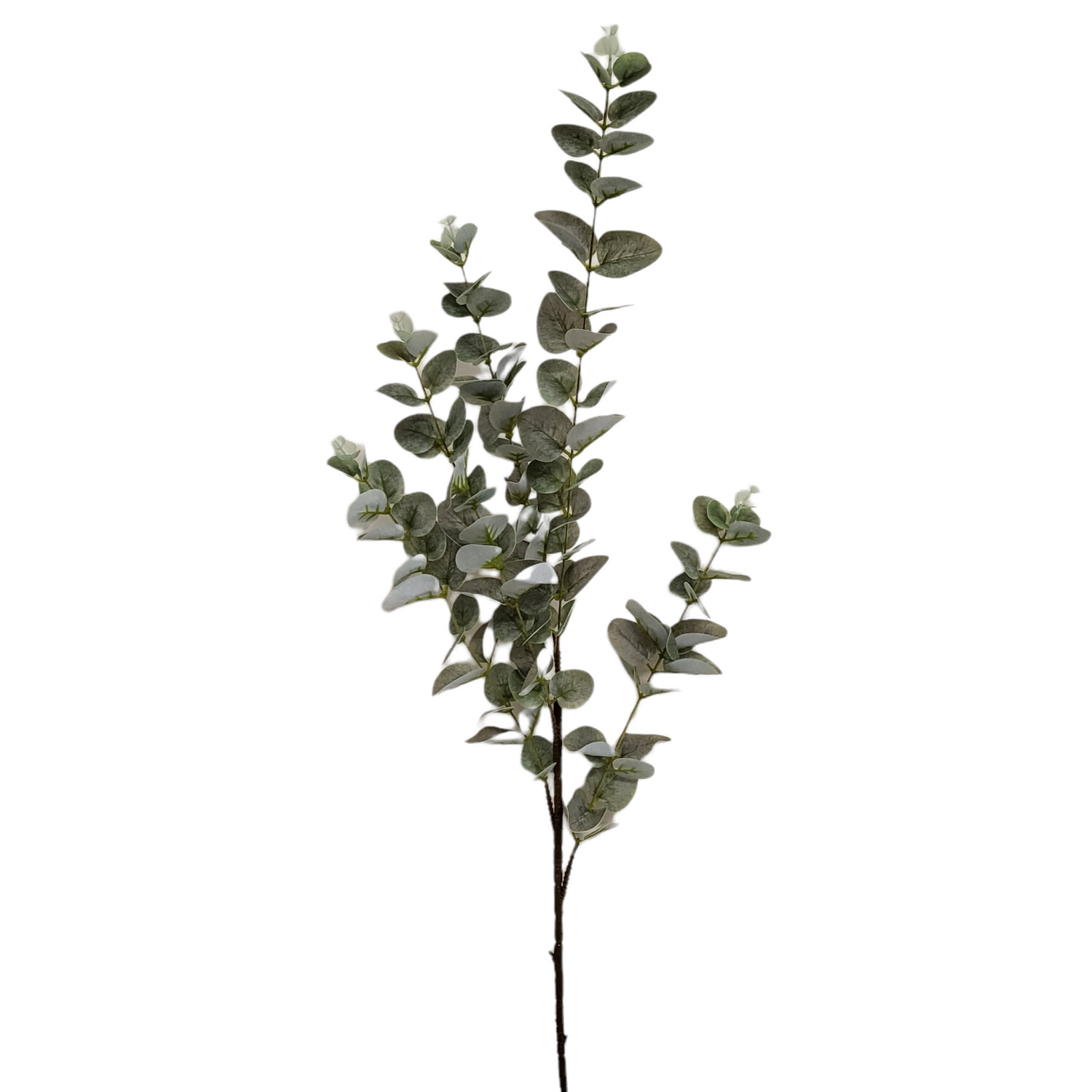 Eucalyptus Frosted Long Stem 96cmL