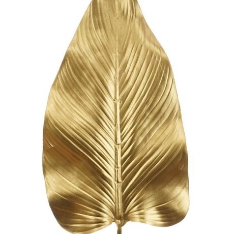 Golden Elephant Ear Leaf 88cmL