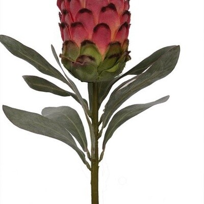 Flocked Protea Pink 75cmL