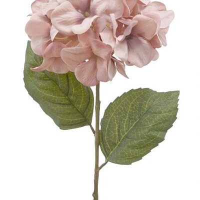 Hydrangea Stem Pink 70cmL