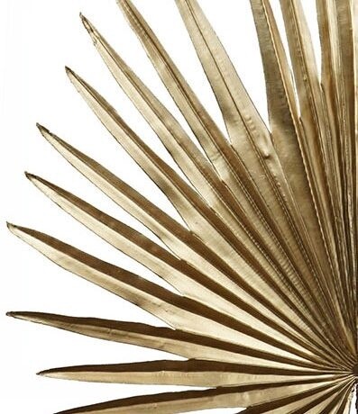 Palm Golden Fan 88cmL