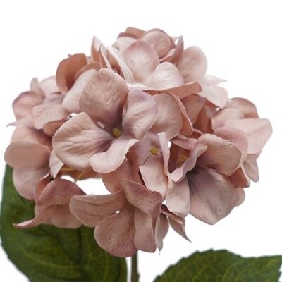 Hydrangea Stem Pink 70cmL