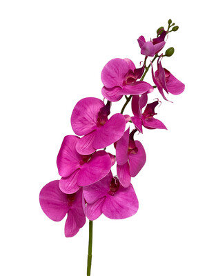 Orchid Magenta 9H 95cmL