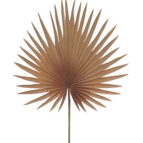 Palm Fan Mauve 88cmL